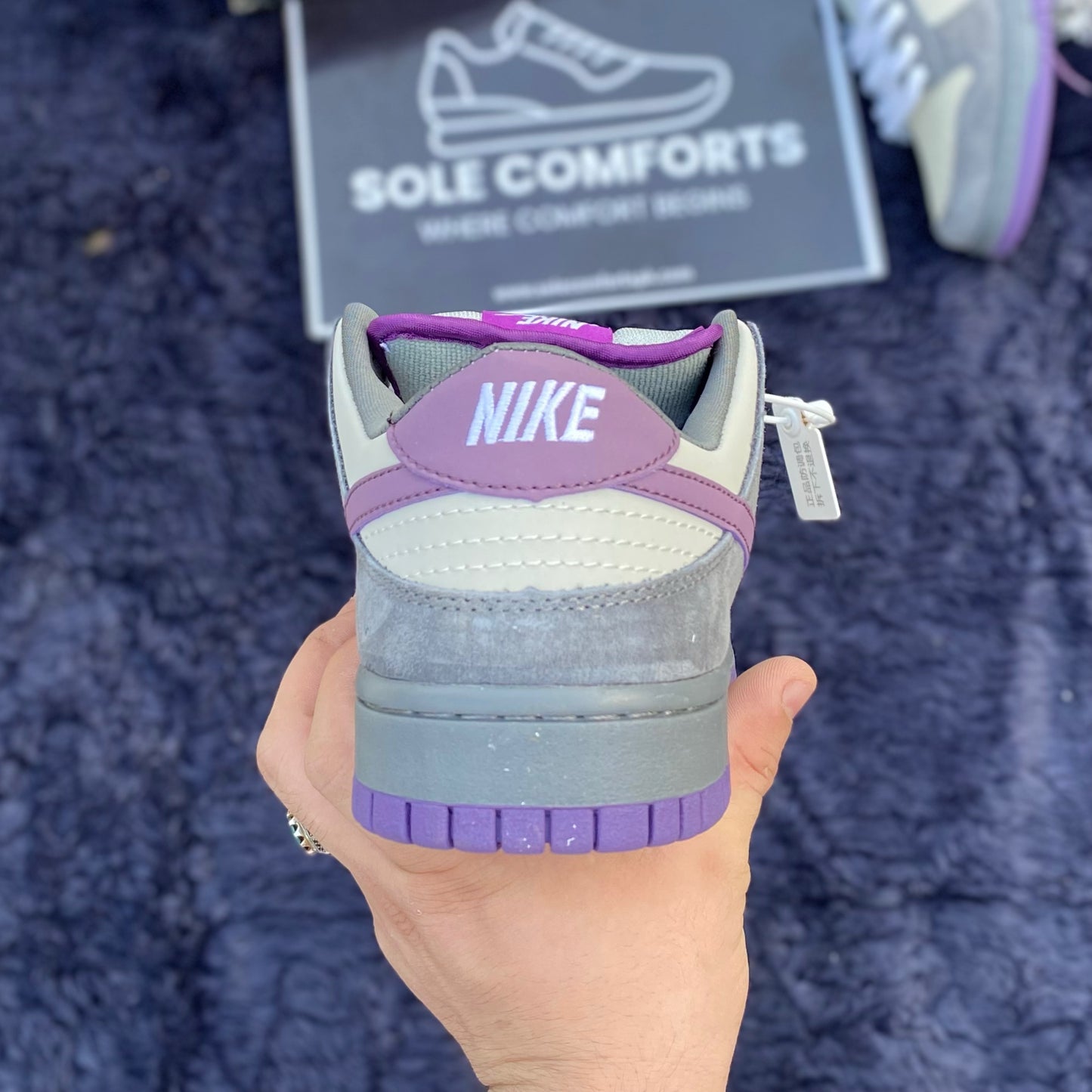 Nk SB Dunk Low Purple