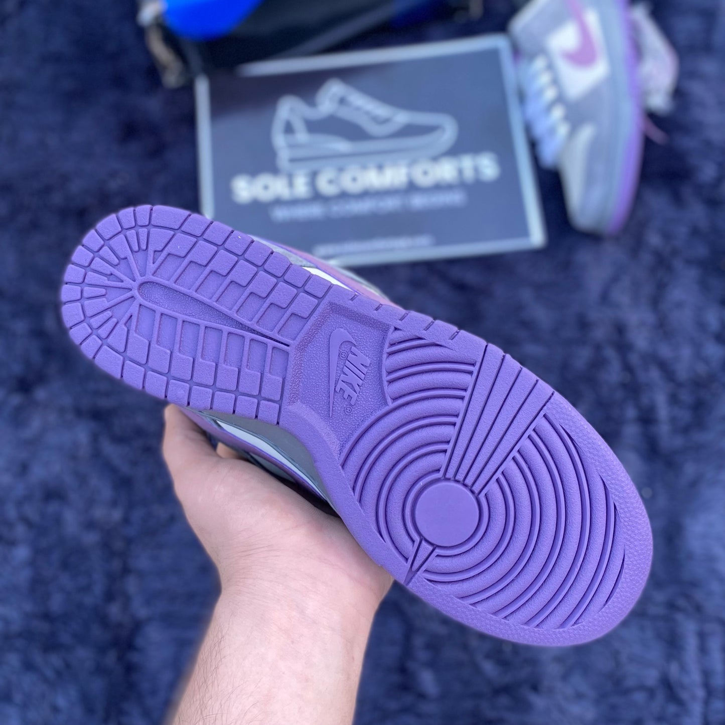 Nk SB Dunk Low Purple