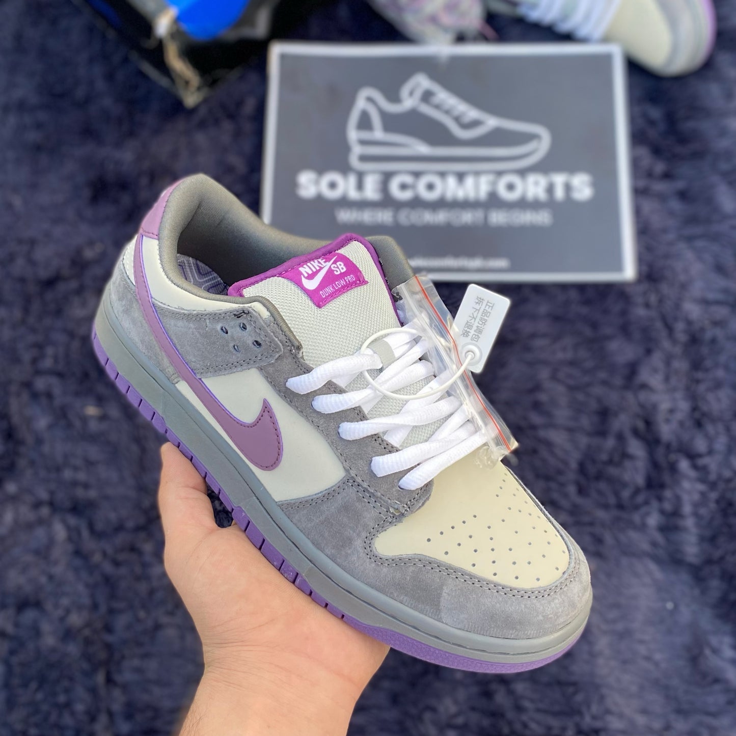 Nk SB Dunk Low Purple