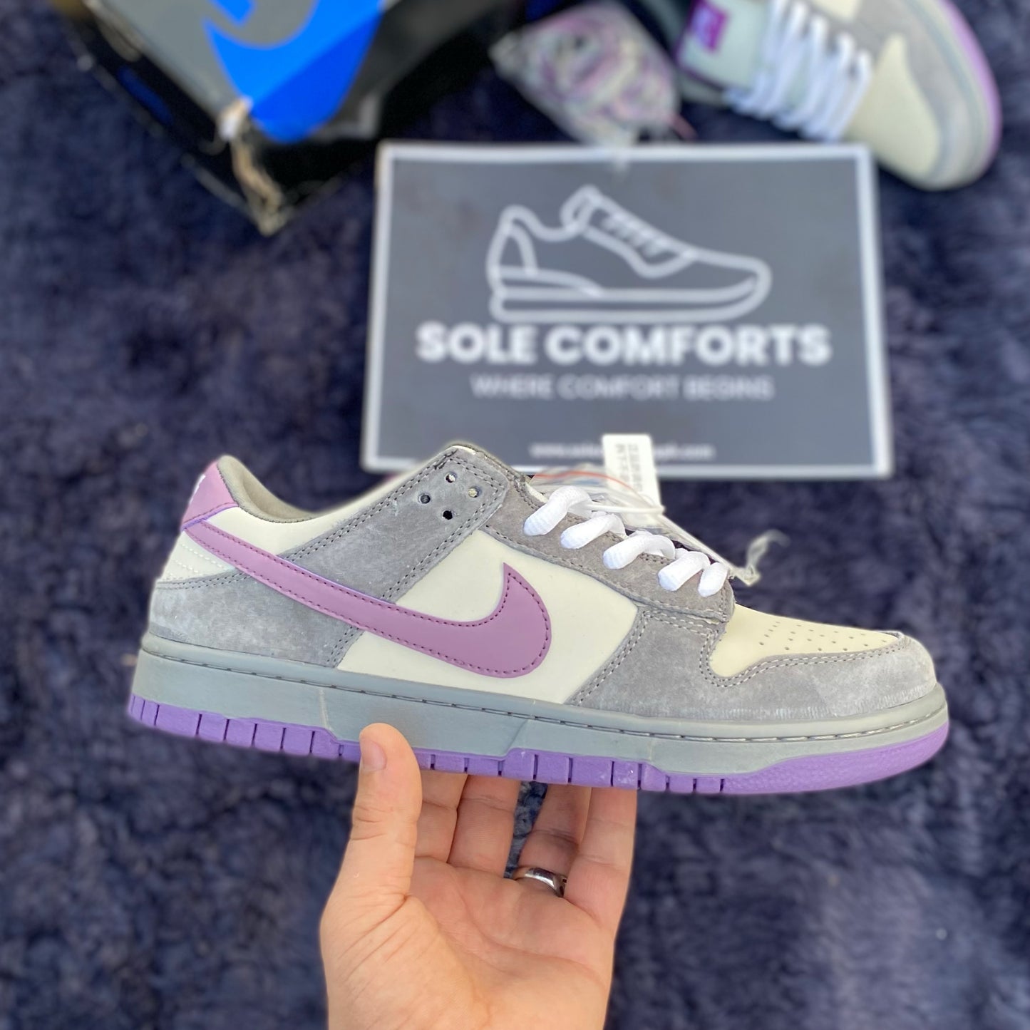 Nk SB Dunk Low Purple